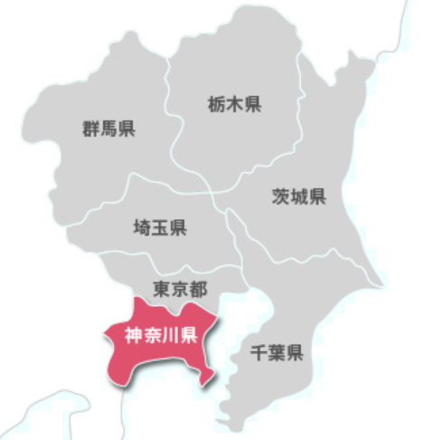 所在城市