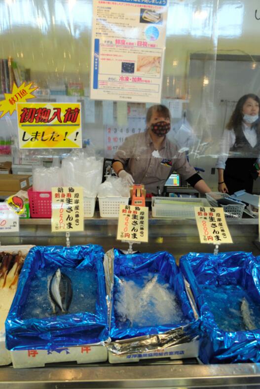 日本今年秋刀鱼价格翻了4倍 每条价格超过1000日元(图2)