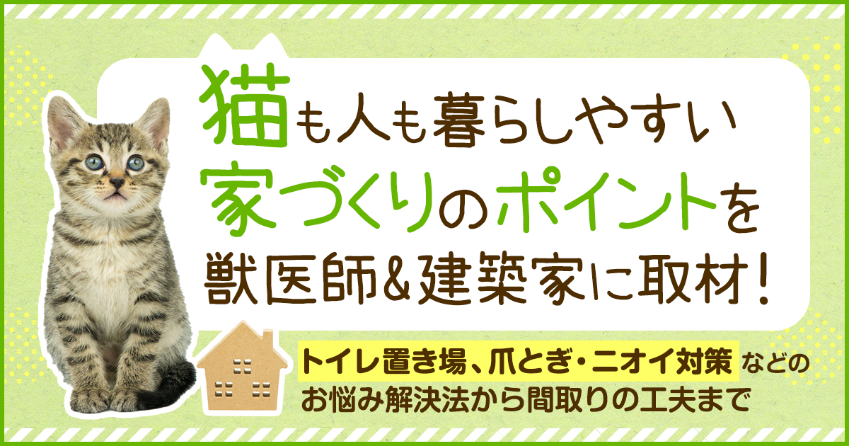 在日本,什么样的房子适合宠物猫生活(图1)
