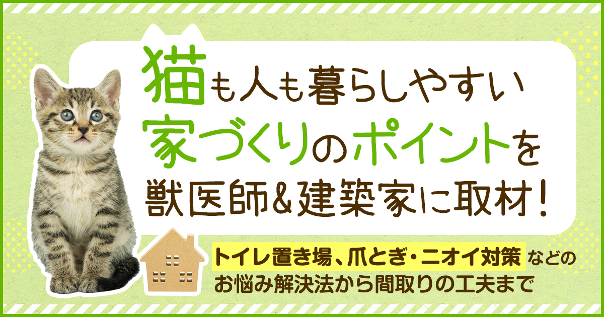 采访兽医和建筑师，了解如何为猫和人打造一个舒适的家！ 从马桶收纳、修指甲和异味对策等问题的解决方案到平面图的创意