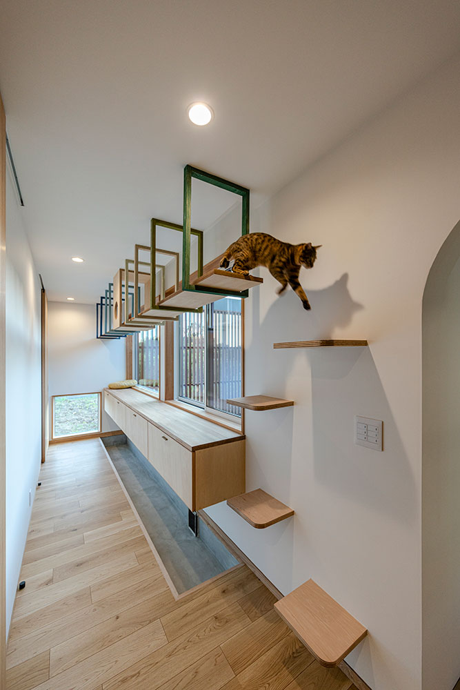 在日本,什么样的房子适合宠物猫生活(图5)